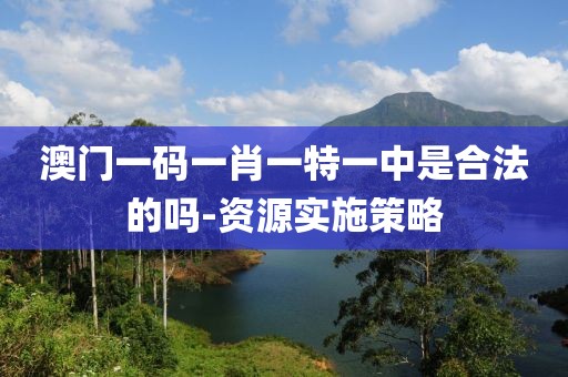 澳門一碼一肖一特一中是合法的嗎-資源實施策略