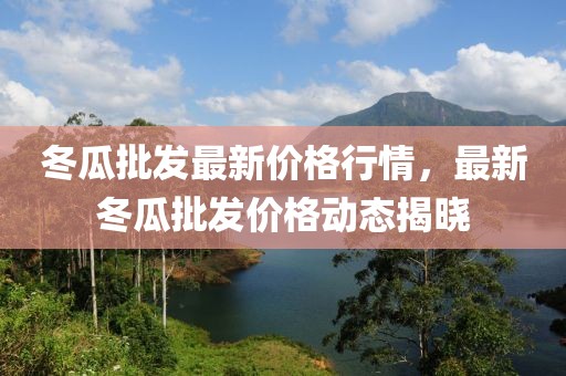 冬瓜批發(fā)最新價格行情，最新冬瓜批發(fā)價格動態(tài)揭曉