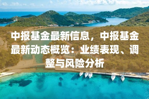 中報(bào)基金最新信息，中報(bào)基金最新動(dòng)態(tài)概覽：業(yè)績表現(xiàn)、調(diào)整與風(fēng)險(xiǎn)分析