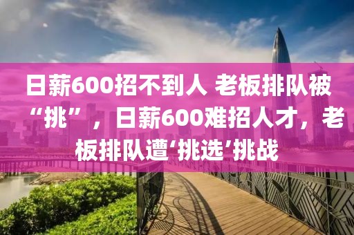 日薪600招不到人 老板排隊(duì)被“挑”，日薪600難招人才，老板排隊(duì)遭‘挑選’挑戰(zhàn)