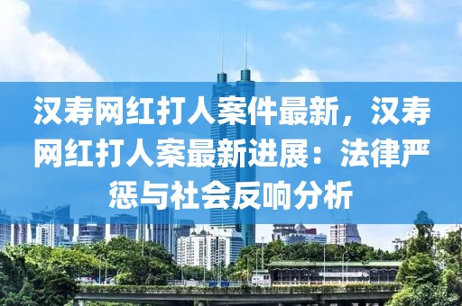 漢壽網(wǎng)紅打人案件最新，漢壽網(wǎng)紅打人案最新進(jìn)展：法律嚴(yán)懲與社會(huì)反響分析