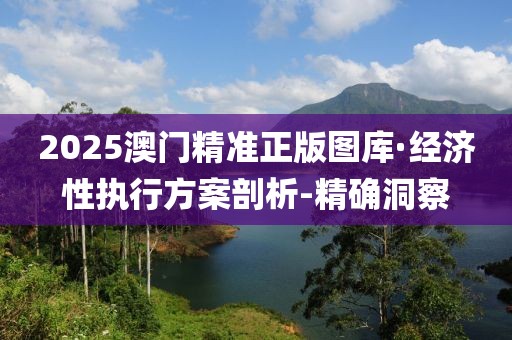 2025澳門精準(zhǔn)正版圖庫·經(jīng)濟(jì)性執(zhí)行方案剖析-精確洞察