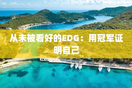 從未被看好的EDG：用冠軍證明自己