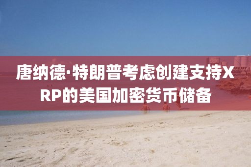 唐納德·特朗普考慮創(chuàng)建支持XRP的美國加密貨幣儲(chǔ)備