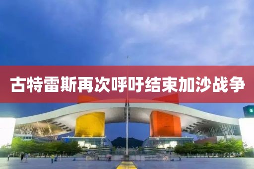古特雷斯再次呼吁結(jié)束加沙戰(zhàn)爭