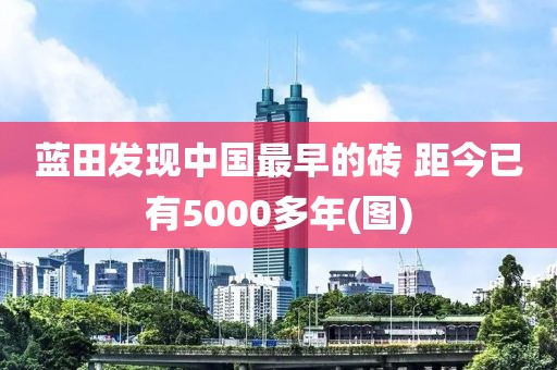藍(lán)田發(fā)現(xiàn)中國最早的磚 距今已有5000多年(圖)