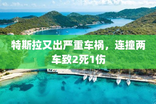 特斯拉又出嚴重車禍，連撞兩車致2死1傷