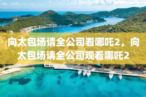 向太包場請全公司看哪吒2，向太包場請全公司觀看哪吒2