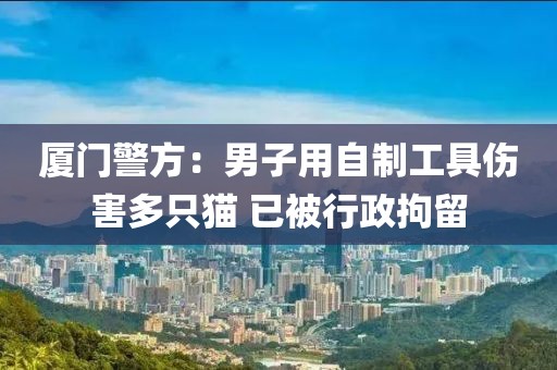 廈門警方：男子用自制工具傷害多只貓 已被行政拘留