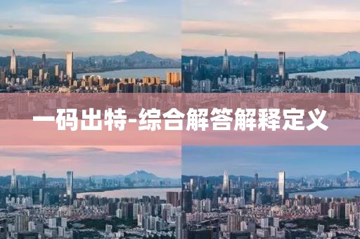 一碼出特-綜合解答解釋定義