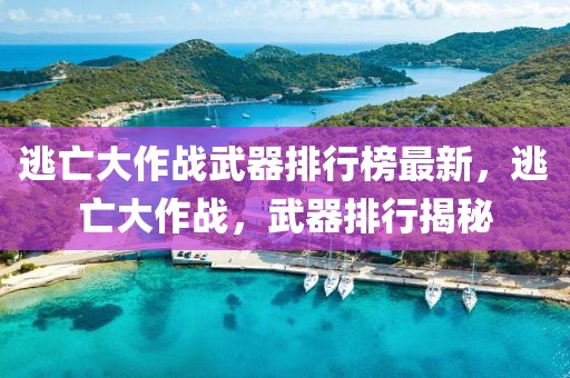 逃亡大作戰(zhàn)武器排行榜最新，逃亡大作戰(zhàn)，武器排行揭秘