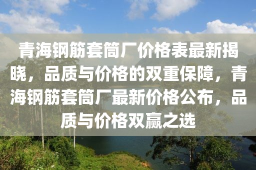 青海鋼筋套筒廠價格表最新揭曉，品質(zhì)與價格的雙重保障，青海鋼筋套筒廠最新價格公布，品質(zhì)與價格雙贏之選