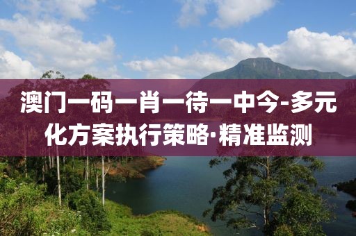 澳門一碼一肖一待一中今-多元化方案執(zhí)行策略·精準監(jiān)測