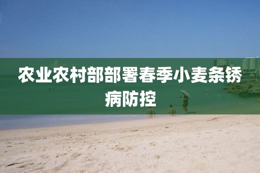 2025年3月15日 第2頁