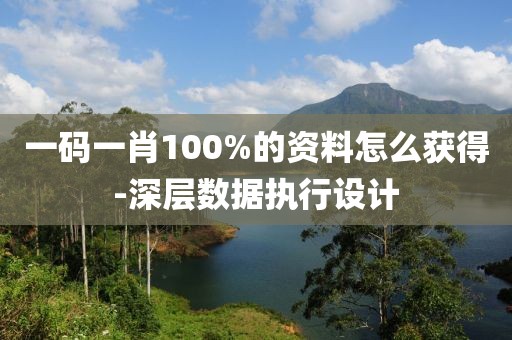 一碼一肖100%的資料怎么獲得-深層數(shù)據(jù)執(zhí)行設計