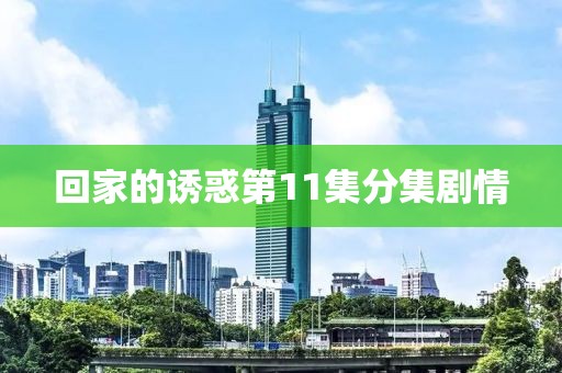 回家的誘惑第11集分集劇情