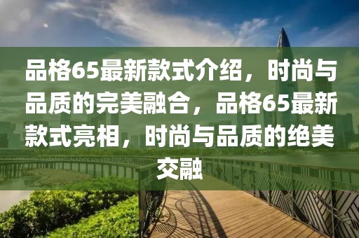 品格65最新款式介紹，時尚與品質的完美融合，品格65最新款式亮相，時尚與品質的絕美交融