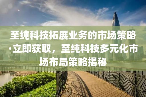 至純科技拓展業(yè)務的市場策略·立即獲取，至純科技多元化市場布局策略揭秘