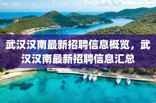武漢漢南最新招聘信息概覽，武漢漢南最新招聘信息匯總