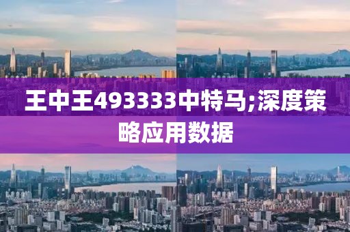 王中王493333中特馬;深度策略應(yīng)用數(shù)據(jù)