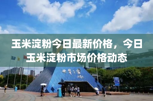 玉米淀粉今日最新價格，今日玉米淀粉市場價格動態(tài)