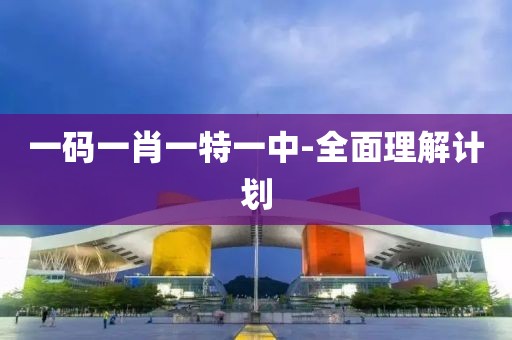 一碼一肖一特一中-全面理解計劃