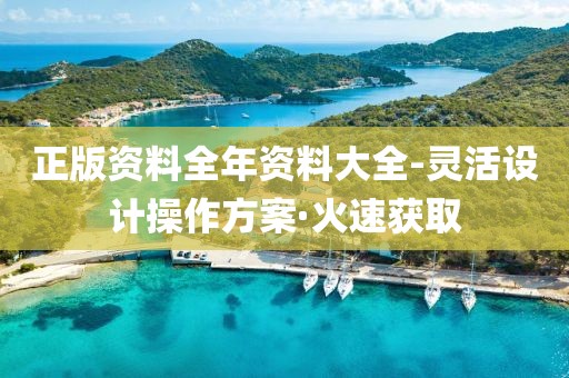 正版資料全年資料大全-靈活設(shè)計(jì)操作方案·火速獲取