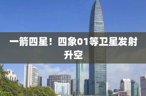 一箭四星！四象01等衛(wèi)星發(fā)射升空