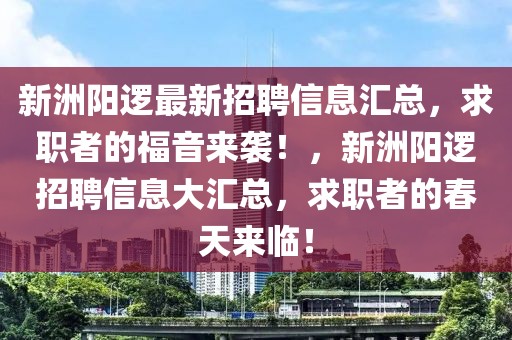 新洲陽邏最新招聘信息匯總，求職者的福音來襲！，新洲陽邏招聘信息大匯總，求職者的春天來臨！