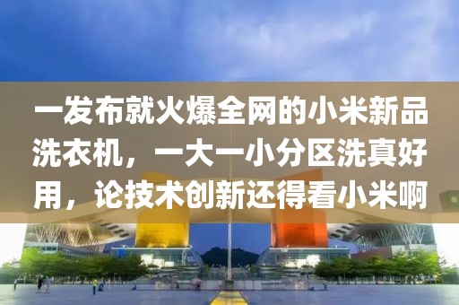 一發(fā)布就火爆全網(wǎng)的小米新品洗衣機(jī)，一大一小分區(qū)洗真好用，論技術(shù)創(chuàng)新還得看小米啊