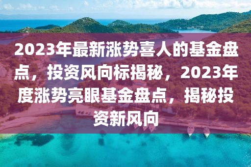 2023年最新漲勢喜人的基金盤點，投資風向標揭秘，2023年度漲勢亮眼基金盤點，揭秘投資新風向