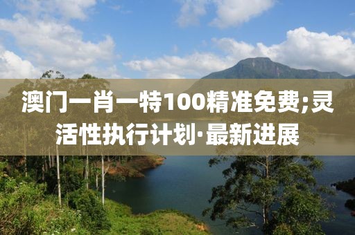 澳門一肖一特100精準免費;靈活性執(zhí)行計劃·最新進展