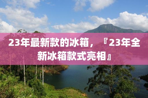 23年最新款的冰箱，『23年全新冰箱款式亮相』