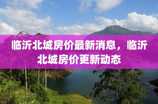 臨沂北城房價最新消息，臨沂北城房價更新動態(tài)