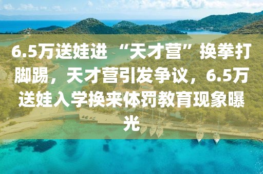 6.5萬送娃進(jìn) “天才營”換拳打腳踢，天才營引發(fā)爭議，6.5萬送娃入學(xué)換來體罰教育現(xiàn)象曝光