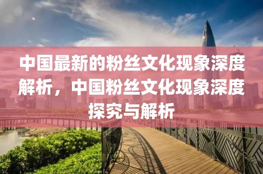 中國(guó)最新的粉絲文化現(xiàn)象深度解析，中國(guó)粉絲文化現(xiàn)象深度探究與解析