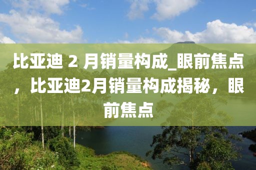 比亞迪 2 月銷量構(gòu)成_眼前焦點(diǎn)，比亞迪2月銷量構(gòu)成揭秘，眼前焦點(diǎn)