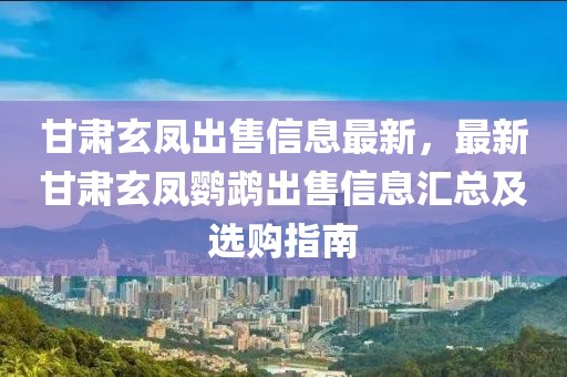 甘肅玄鳳出售信息最新，最新甘肅玄鳳鸚鵡出售信息匯總及選購指南