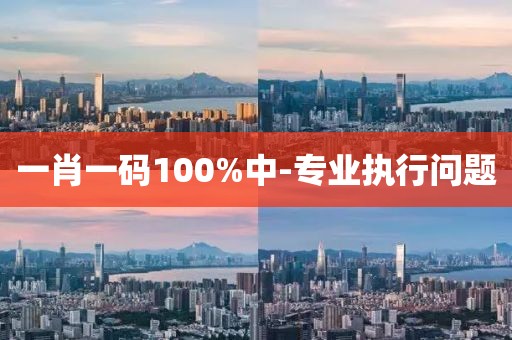 一肖一碼100%中-專業(yè)執(zhí)行問題