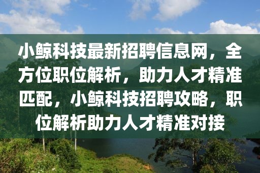 小鯨科技最新招聘信息網(wǎng)，全方位職位解析，助力人才精準(zhǔn)匹配，小鯨科技招聘攻略，職位解析助力人才精準(zhǔn)對接