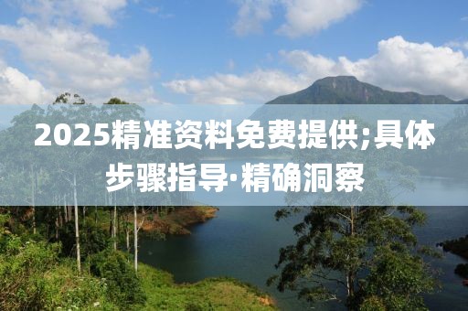 2025精準(zhǔn)資料免費(fèi)提供;具體步驟指導(dǎo)·精確洞察