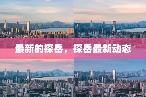 最新的探岳，探岳最新動態(tài)