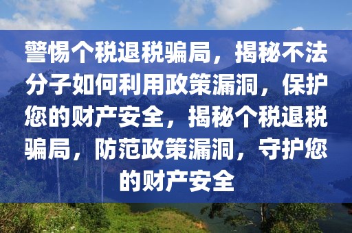 警惕個稅退稅騙局，揭秘不法分子如何利用政策漏洞，保護您的財產安全，揭秘個稅退稅騙局，防范政策漏洞，守護您的財產安全