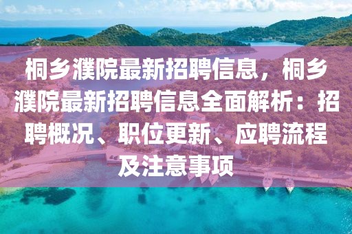 桐鄉(xiāng)濮院最新招聘信息，桐鄉(xiāng)濮院最新招聘信息全面解析：招聘概況、職位更新、應聘流程及注意事項