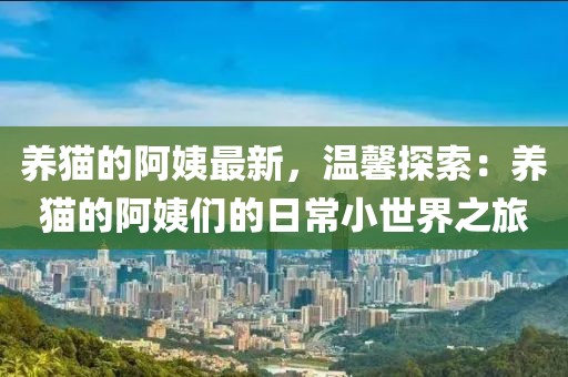 養(yǎng)貓的阿姨最新，溫馨探索：養(yǎng)貓的阿姨們的日常小世界之旅