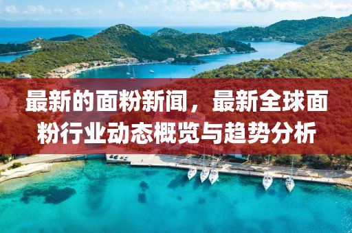 最新的面粉新聞，最新全球面粉行業(yè)動態(tài)概覽與趨勢分析