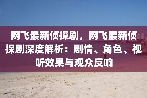 網(wǎng)飛最新偵探劇，網(wǎng)飛最新偵探劇深度解析：劇情、角色、視聽效果與觀眾反響