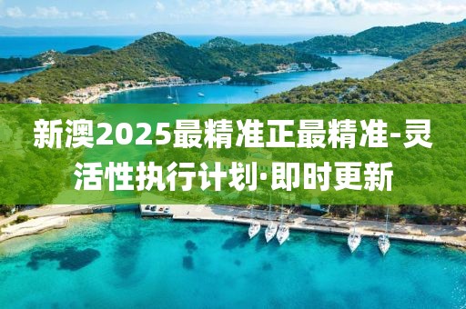 新澳2025最精準(zhǔn)正最精準(zhǔn)-靈活性執(zhí)行計(jì)劃·即時(shí)更新