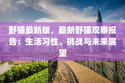 野貓最新版，最新野貓觀察報(bào)告：生活習(xí)性、挑戰(zhàn)與未來展望
