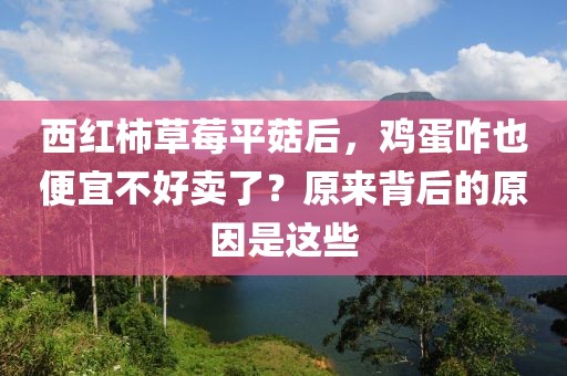 西紅柿草莓平菇后，雞蛋咋也便宜不好賣了？原來背后的原因是這些